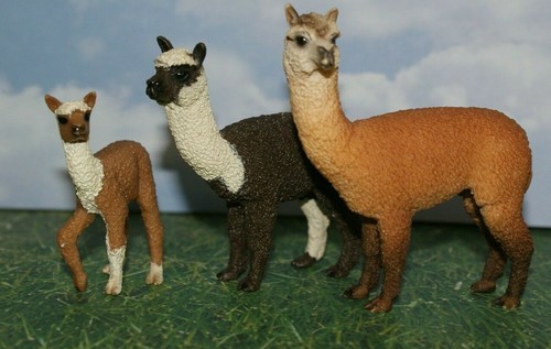 Alpaca family male - family, female