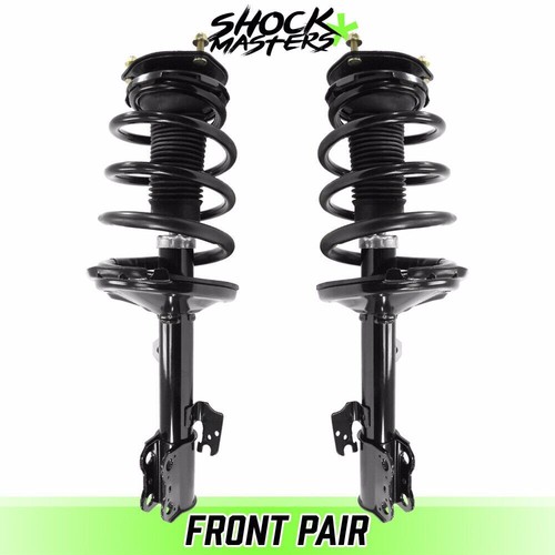 Front pair complete struts - front,