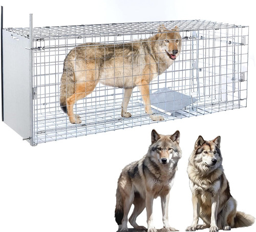 Large humane live animal - large,