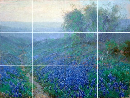 Blue bonnets meadow flower - bonnets,