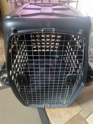 Petmate sky kennel pet carrier - petmate,