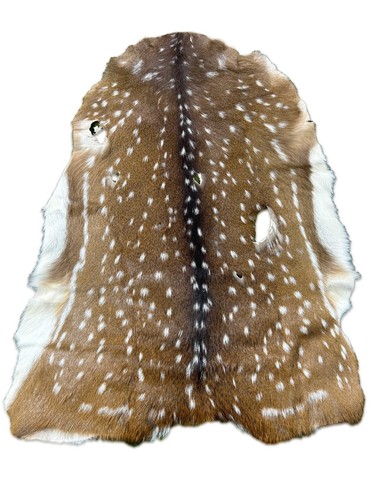 Axis deer skin second - deer,