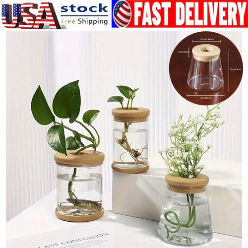 Pcs transparent hydroponic - 3,