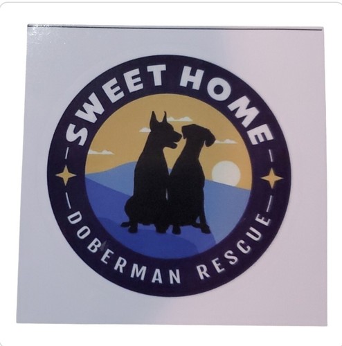 Sweet home doberman rescue - sweet,