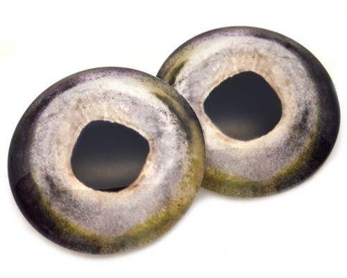 Pair chinook salmon fish glass - fish,