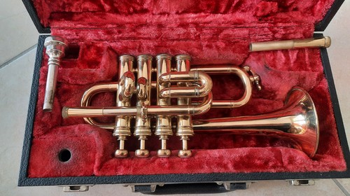 Selmer paris piccolo - bb,