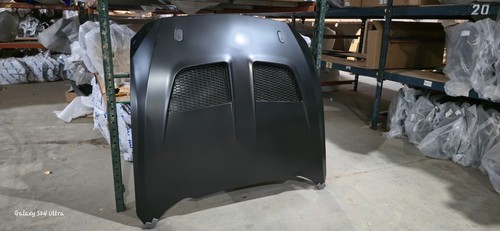 Hood for ford mustang gtd - hood,