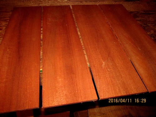 3 8 1 2 exotic - 1/4",, 3/8,