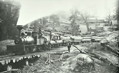 Sequoia railroad logging photo - sequoia,