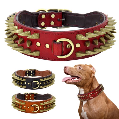 Spiked studded pet - spiked,