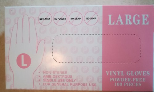 Vinyl gloves powder free - gloves,