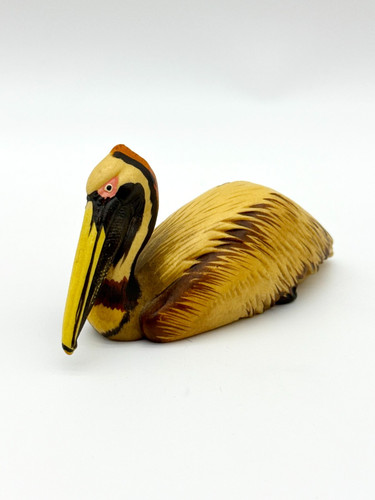 Anri italy pelican wildlife - anri,