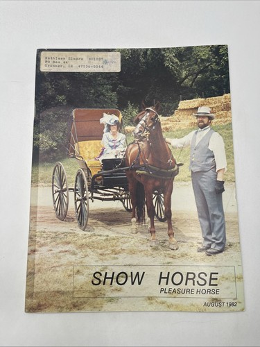 Show horse pleasure - show,