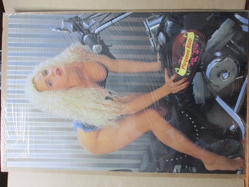 Vintage pleasure ride poster - vintage,