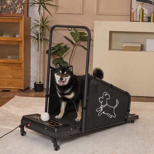 Dog treadmill for medium - treadmill, dogs