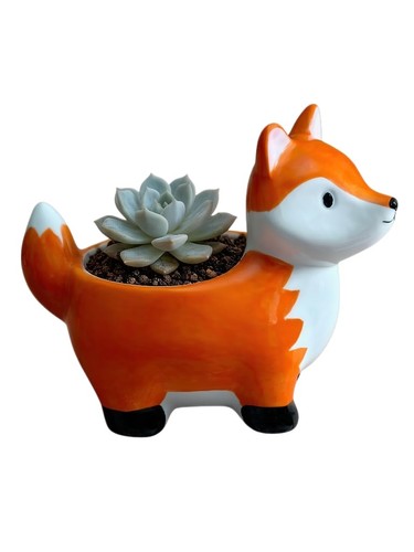Animal shaped ceramic - animal-shaped,