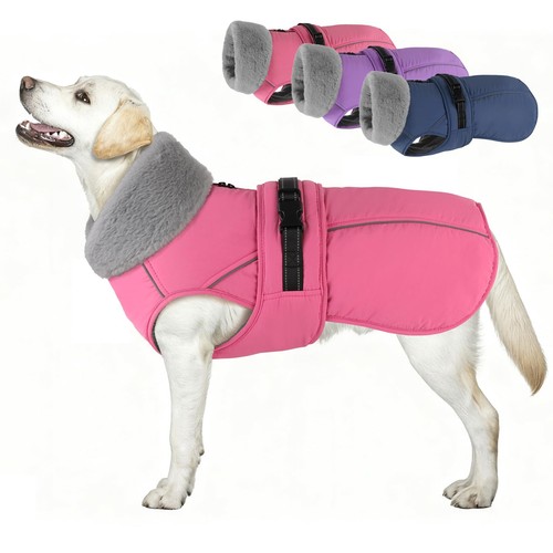 Petdsh dog coat - dog,