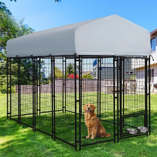 8x4x6 outdoor dog kennels - outdoor,