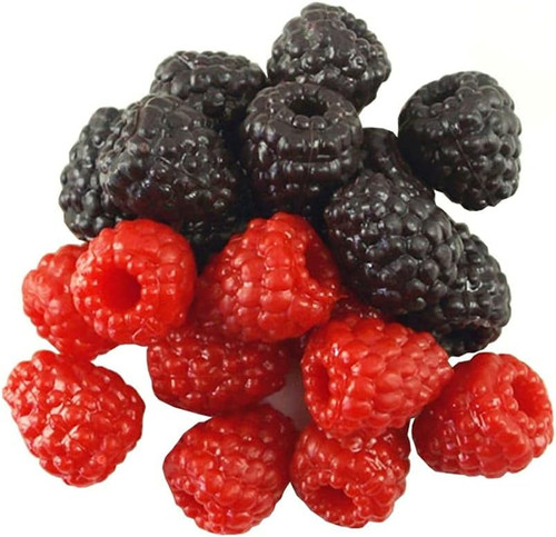 20pcs artificial raspberry - 20pcs,