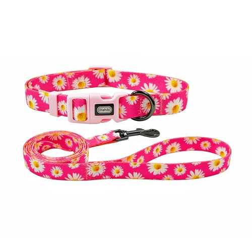 Pink daisy pattern dog - pattern,