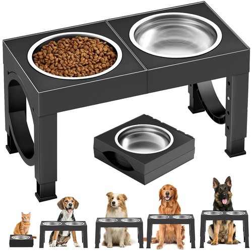 Large elevated dog - elevated,