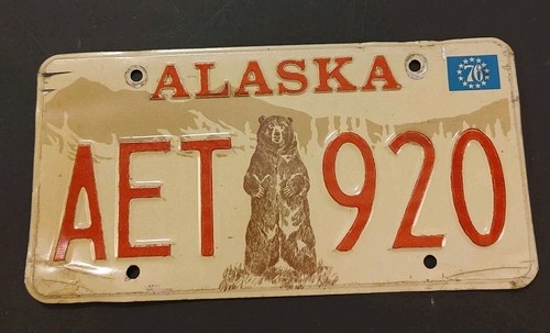 Standing bear alaska - bear,
