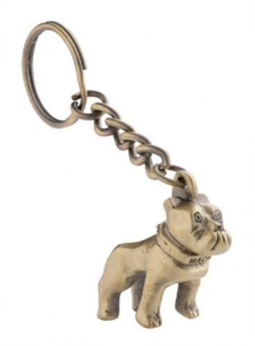 Mack dog bulldog - dog, gold