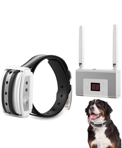 Focuser gps wireless dog - gps,