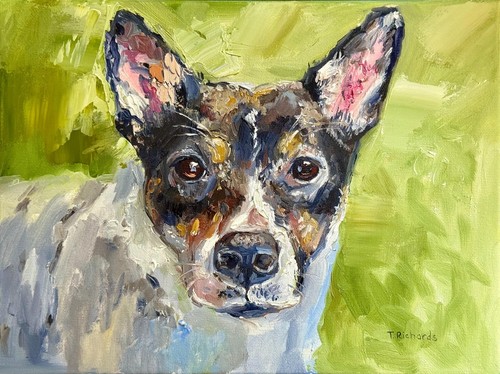 Custom pet portrait - custom, photo