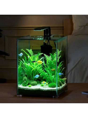 New fish tank - tank, 5