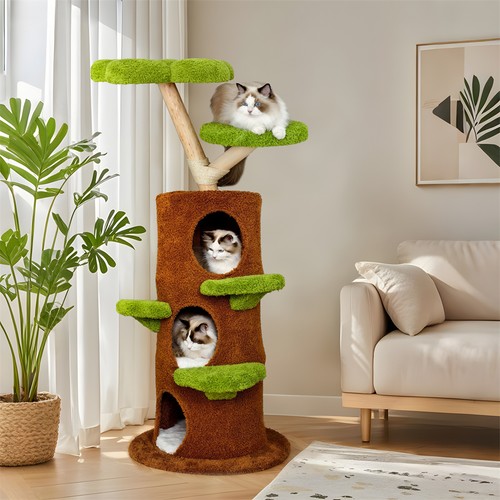 Multi level indoor cat - indoor,