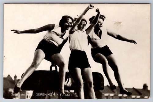 Rppc pommel horse womens - rppc,