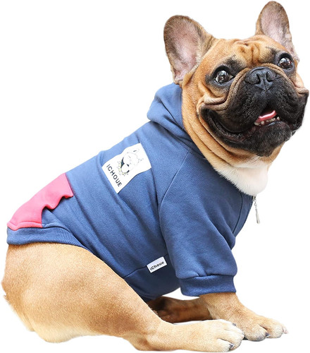 French bulldog pug zipper - french,