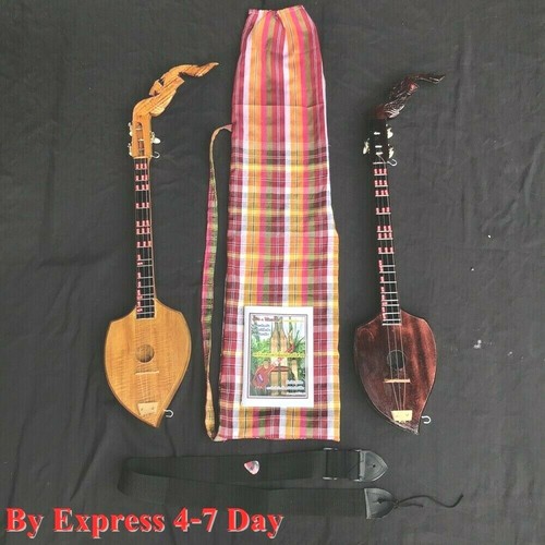 Acoustic phin harp left - acoustic, left-handed