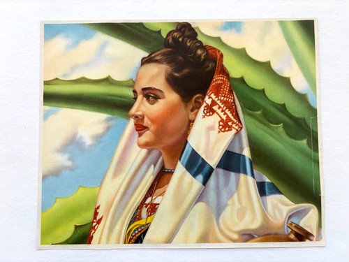 Lovely vintage print - vintage, of