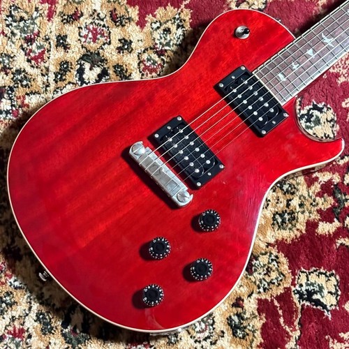 Tremonti paul reed smith - reed,