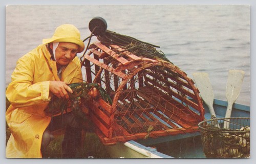 Maine coast fisherman lobster - maine,