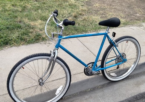 Vintage schwinn cruiser - vintage,