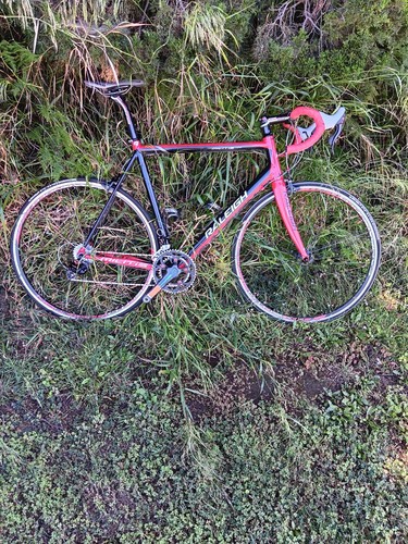 Raleigh militis58 campagnolo - raleigh,