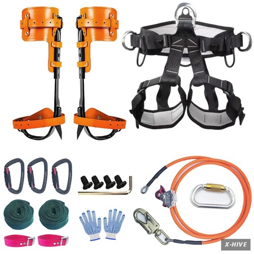 Tree climbing gear - tree,