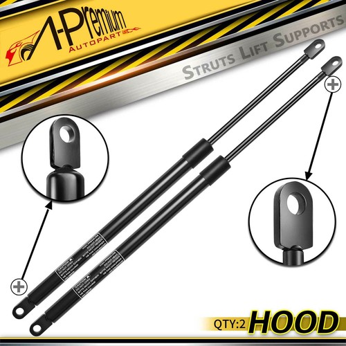 Premium front hood lift - hood,