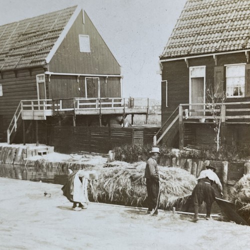 Home from hay - hay, marken