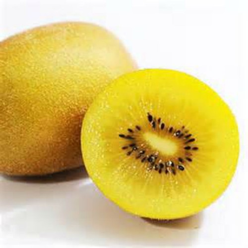 Golden kiwi fruit seeds - fruit,