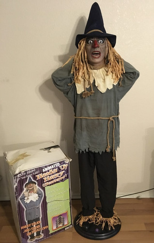Rare heads harry scarecrow - up,
