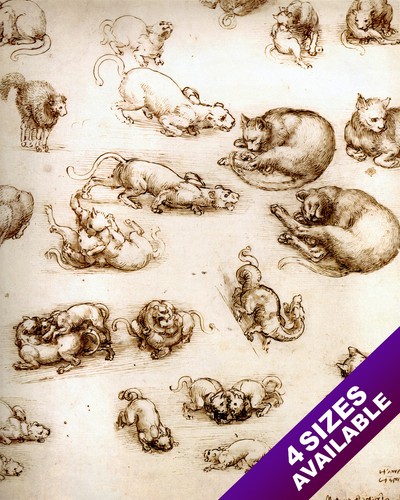 Leonardo vinci sketch - leonardo, da