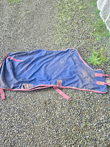 State line tack horse blanket - state,