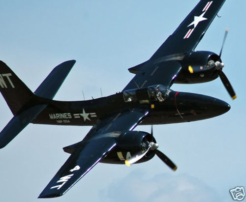 Giant scale grumman - ,