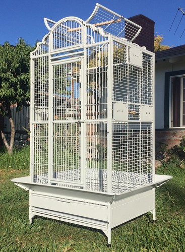 Large elegant bird parrot - 63",