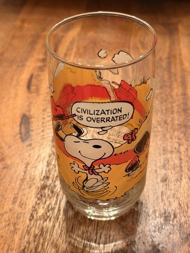Vintage peanuts camp snoopy - camp,