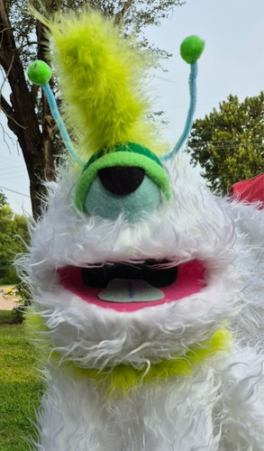 Professional muppet style - muppet,